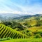VIETNAM GRAND TOUR 21 DAYS 20 NIGHTS from 820 USD/person only